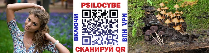 Псилоцибиновые грибы ЛСД  где продают наркотики  ОМГ ОМГ   Поворино 